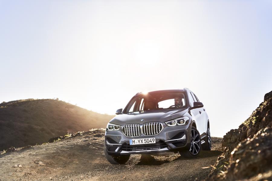  BMW X1 xDrive25i xLine (F48) 2019 года  (WW) (фото 13 из 40)